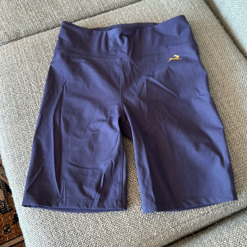 EUC Tracksmith Allston shorts